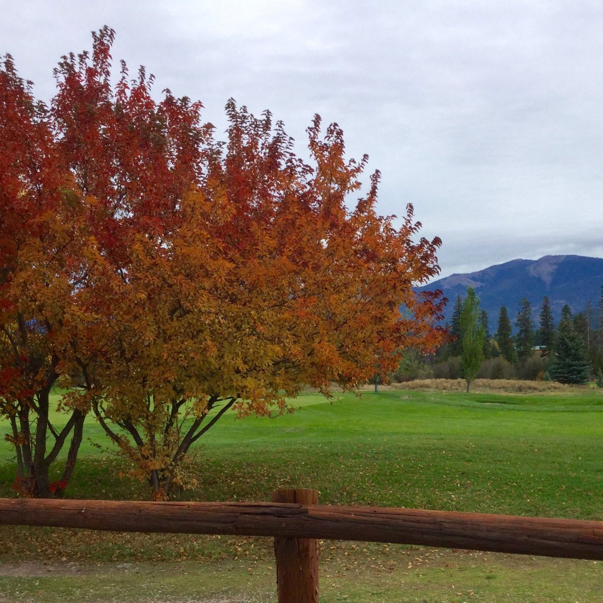 DOUBLE ARROW GOLF COURSE (Seeley Lake) Ce qu'il faut savoir