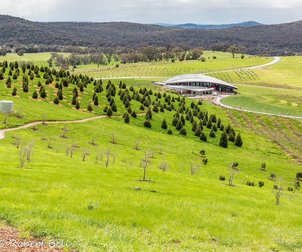 National Arboretum Canberra Molonglo Valley Qué Saber Antes De Ir