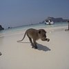 Zequi