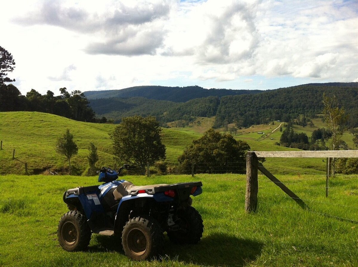 atv tour gold coast