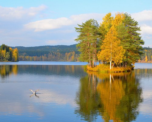 hjælpeløshed træ svinge THE 10 BEST Parks & Nature Attractions in Oslo - Tripadvisor