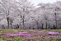 21年 赤城高原牧場クローネンベルク 行く前に 見どころをチェック トリップアドバイザー