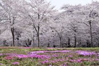 21年 赤城高原牧場クローネンベルク 行く前に 見どころをチェック トリップアドバイザー