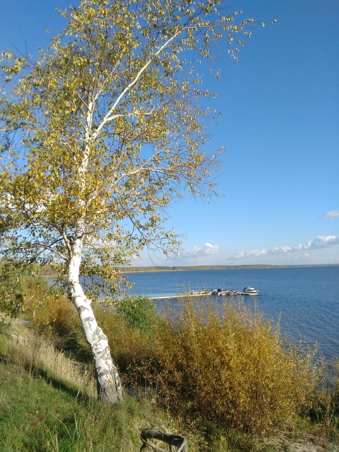 Гисметео сельская маза нижегородская