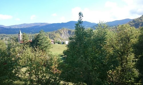Manubiola