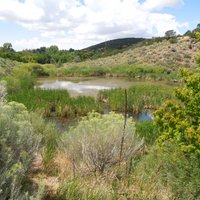 Santa Fe Canyon Preserve - All You Need to Know BEFORE You Go (2024)