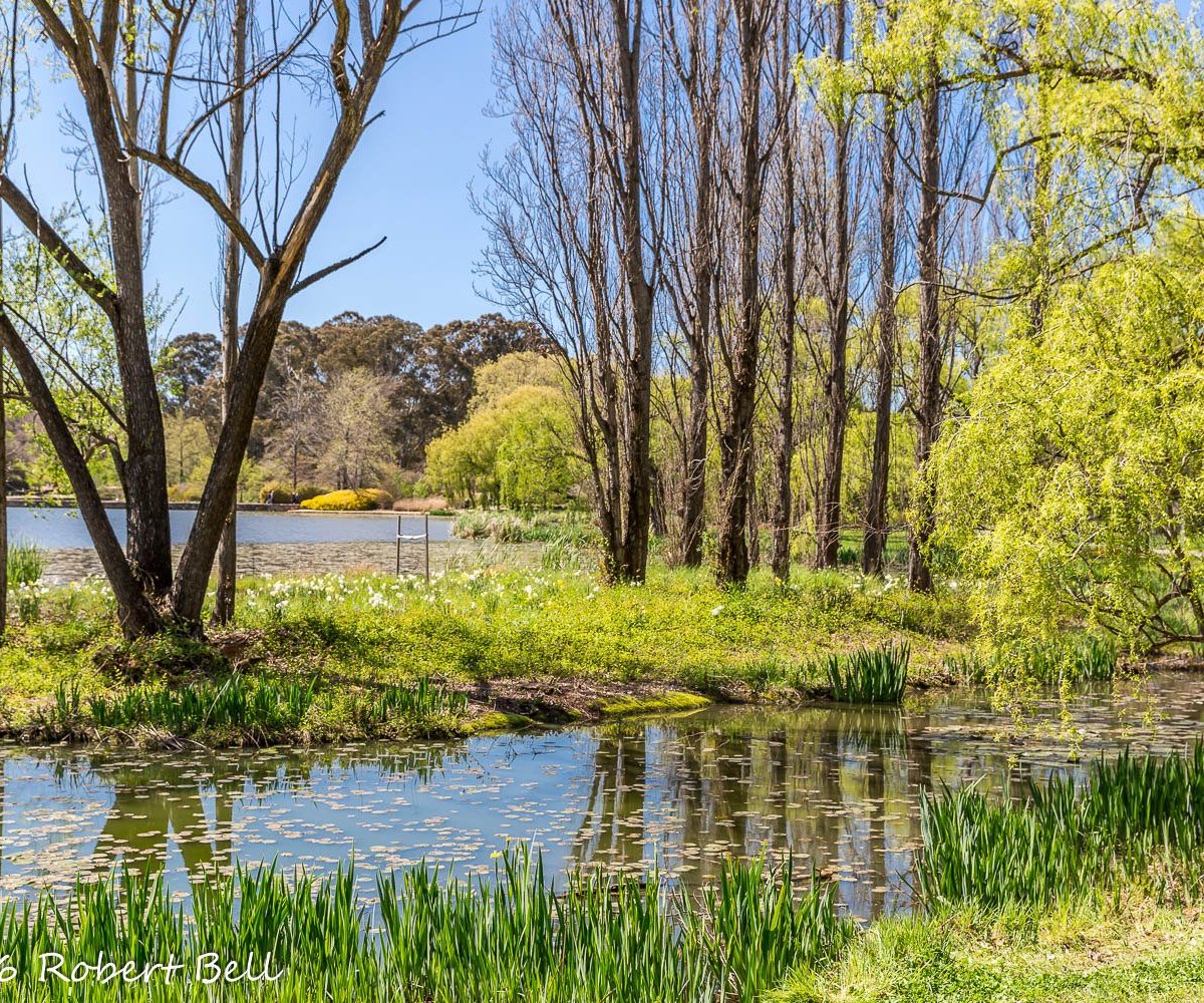 COMMONWEALTH PARK (Canberra): Ce qu'il faut savoir