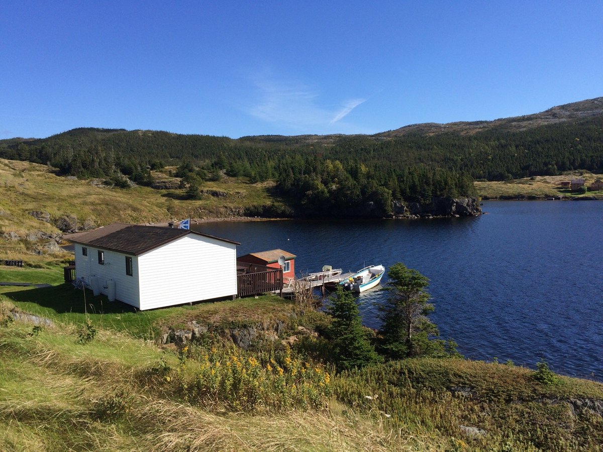 Rugged Beauty Boat Tours (Trinity) - All You Need to Know BEFORE You Go