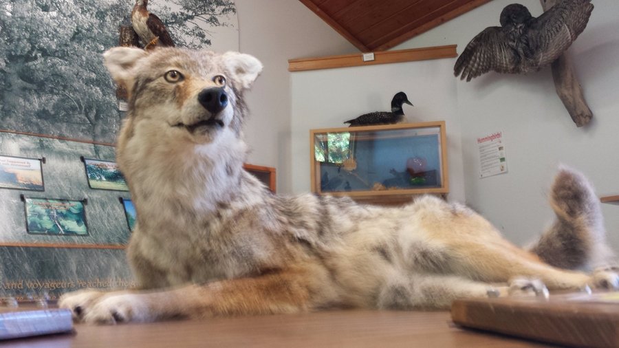 interpretive center