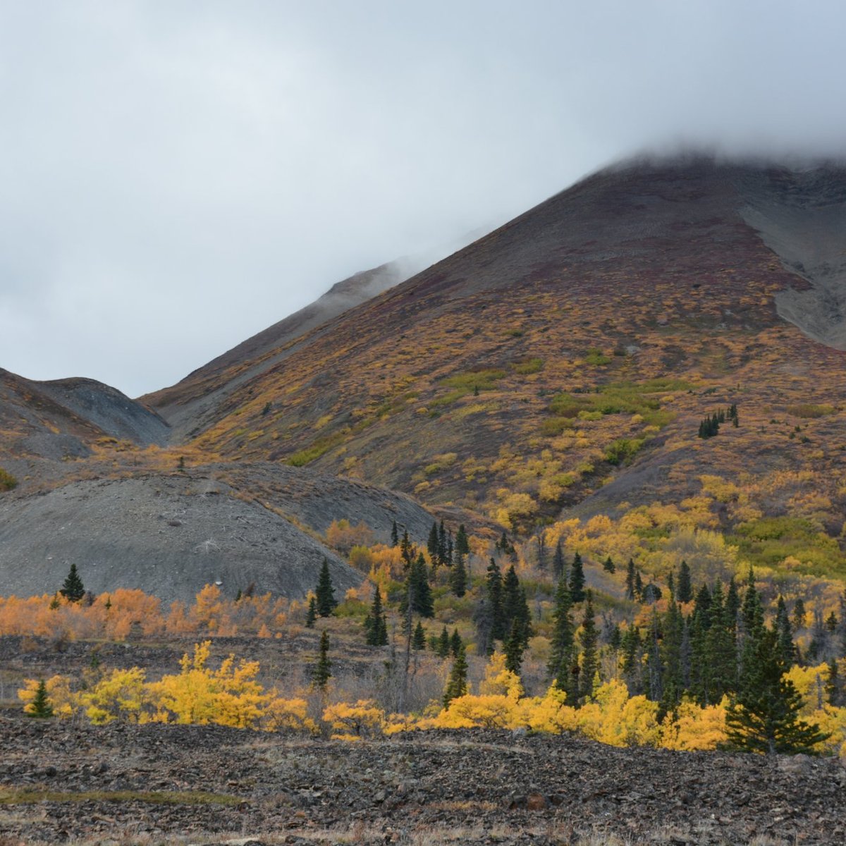 Rock Glacier Trail - All You Need to Know BEFORE You Go (2025)