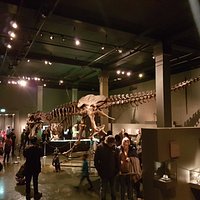 Natural History Museum