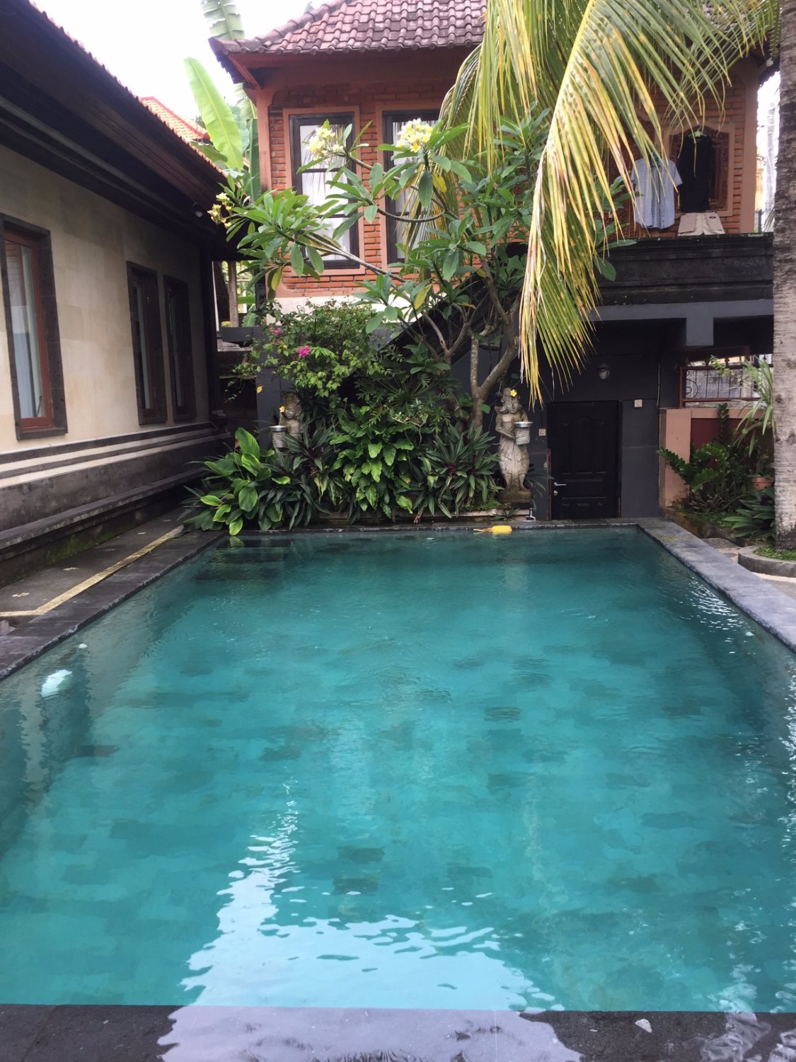 Bali Culture Guesthouse Pool Pictures & Reviews - Tripadvisor