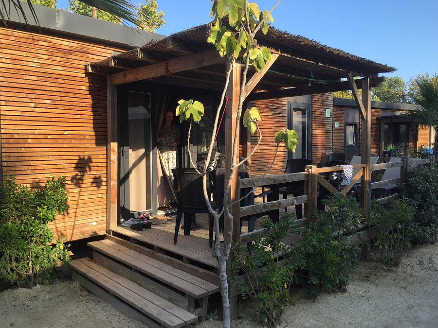 Avis camping lodge