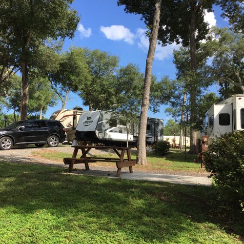 Pellicer Creek Campground image