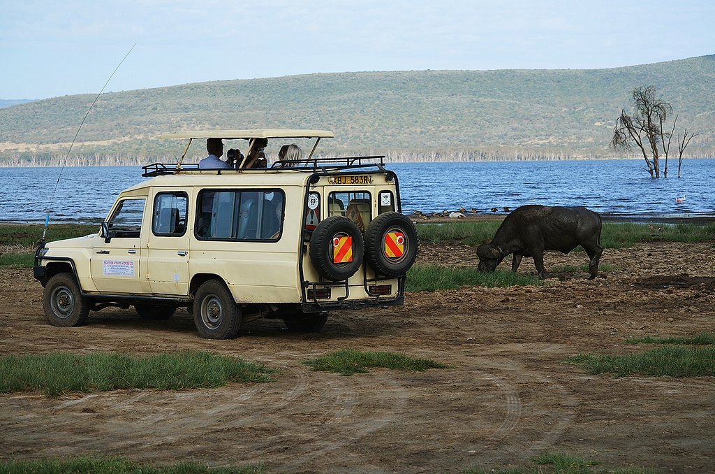 bencia africa adventure safaris reviews