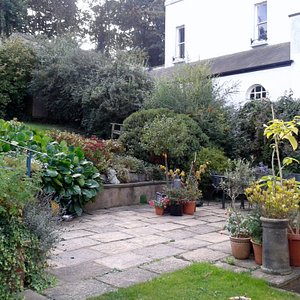 Well kept front garden