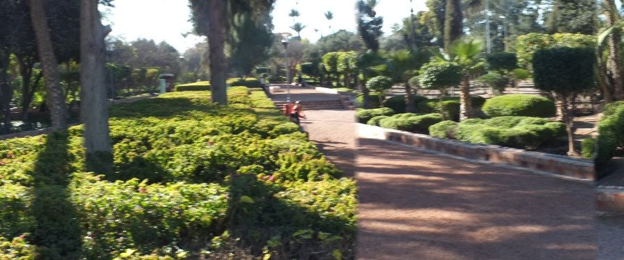 Jardin el Harti