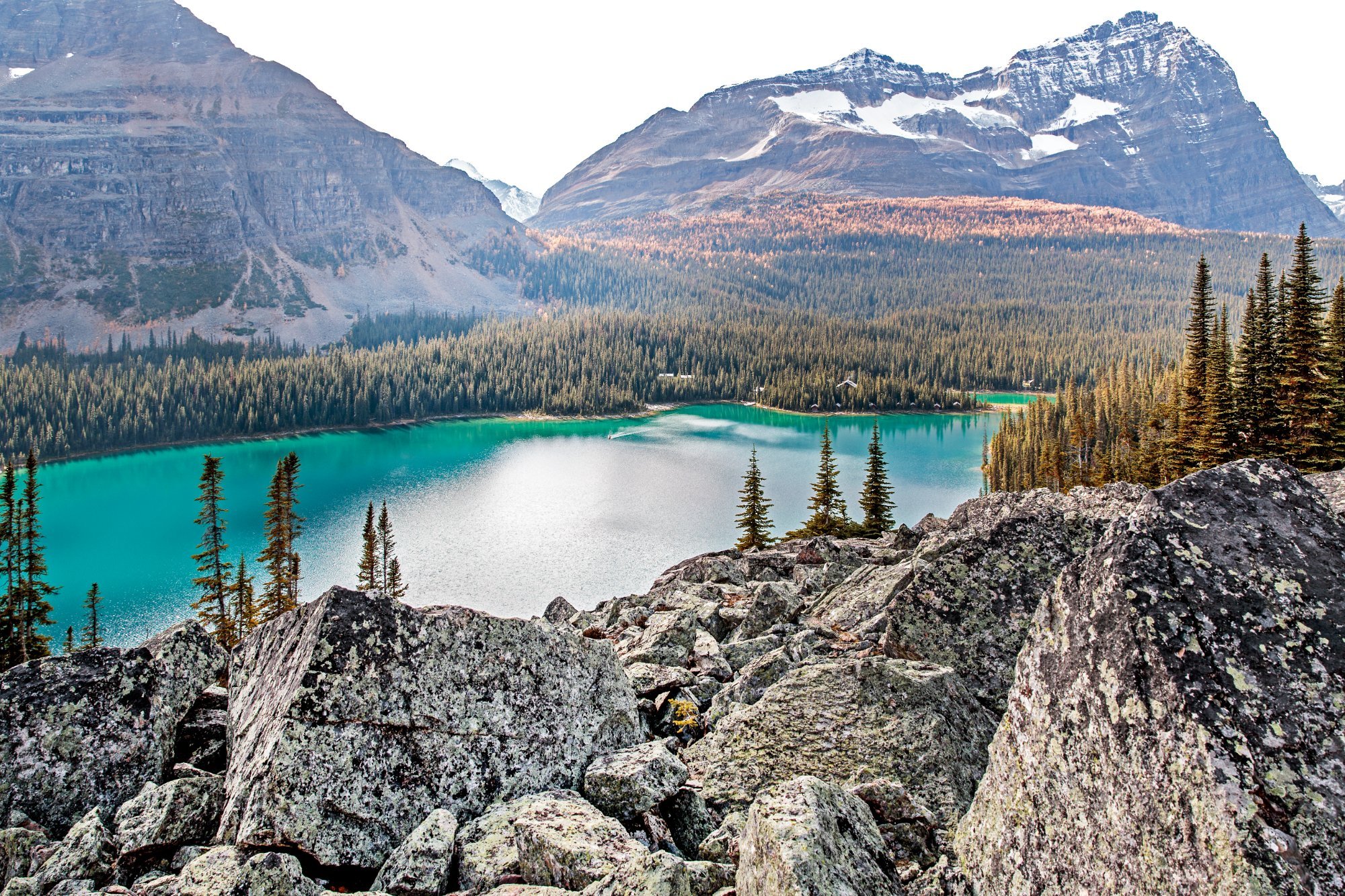 Lake O'Hara Lodge by null