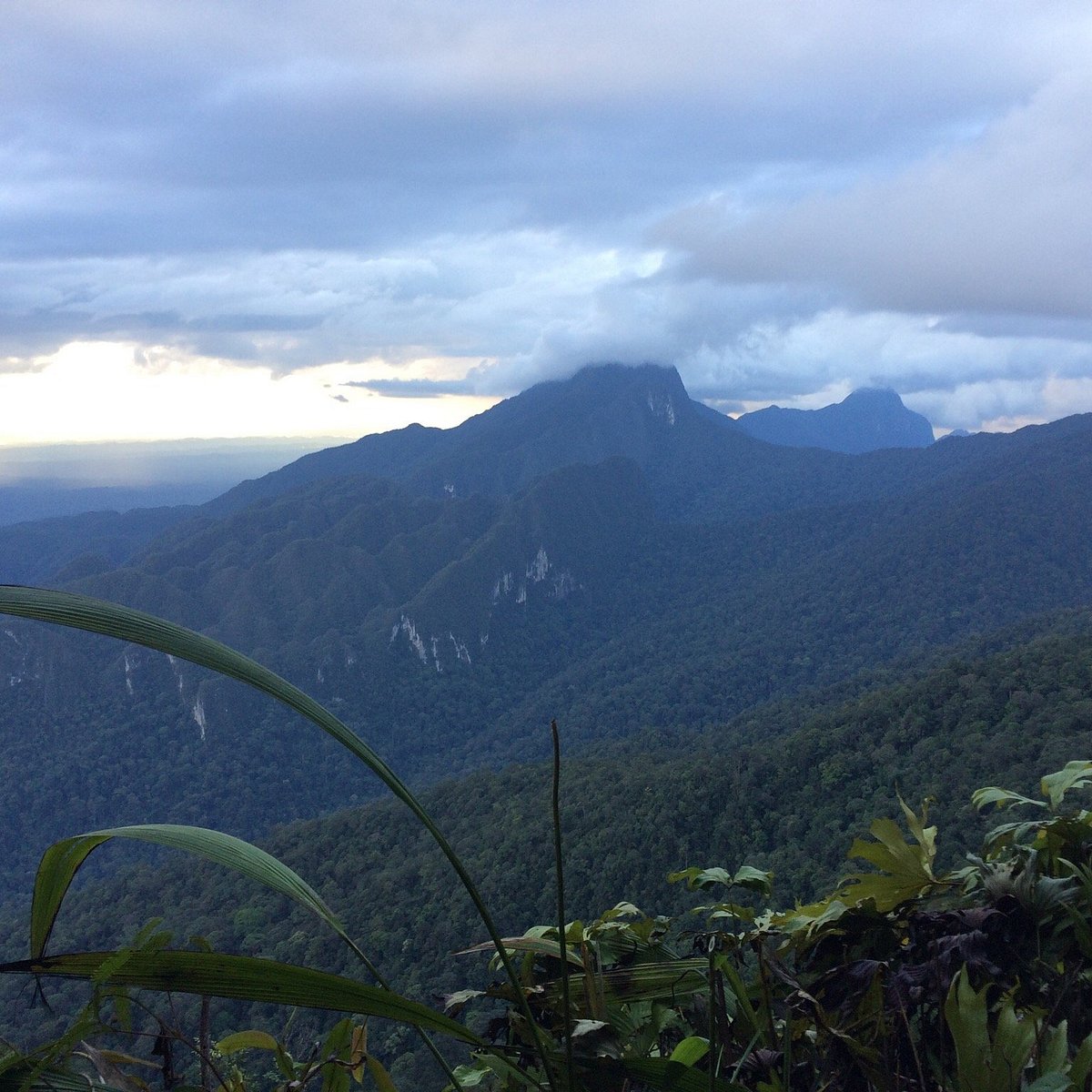 gunung mulu trek