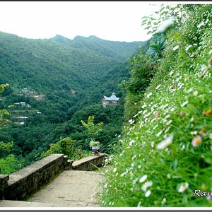 tourist places in nagaland wikipedia