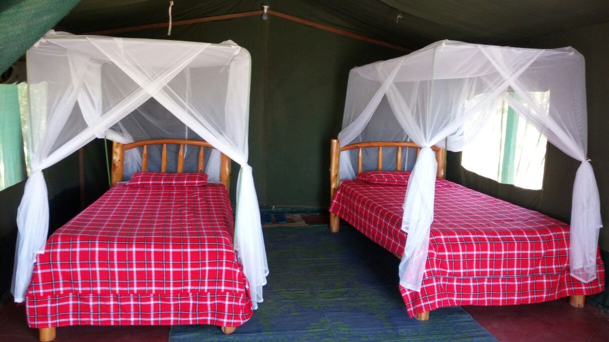 Wechsel Tents massai mara ヴィクセルテント マサイマラ