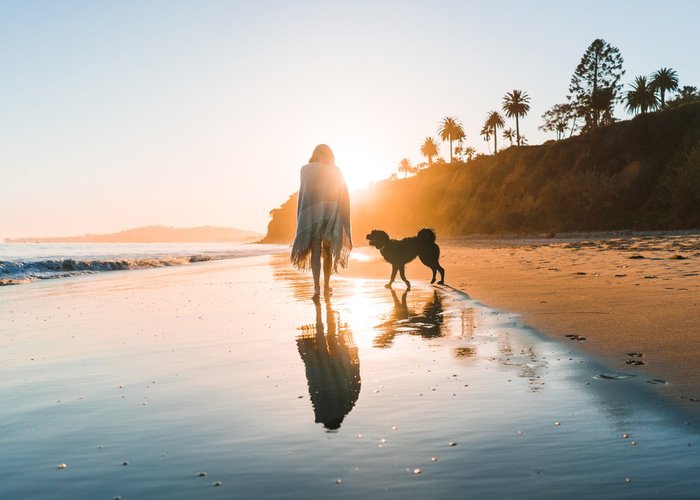 Beach Walk