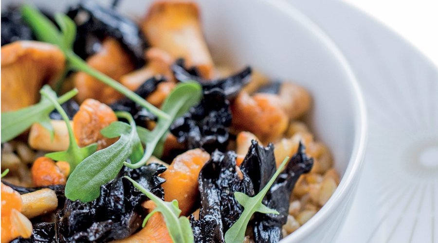 Petit épeautre et champignons des bois, oseille