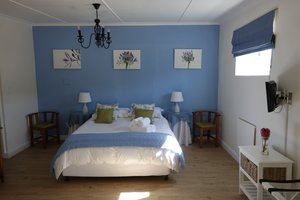 Room & Suite