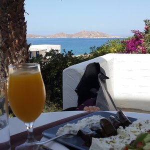 greek cuisine welcome in our balcony with sea view
