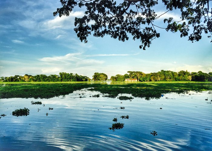 Hakaluki Haor, Moulvibazar. Bangladesh's largest and one of Asia's larger marsh wetland.