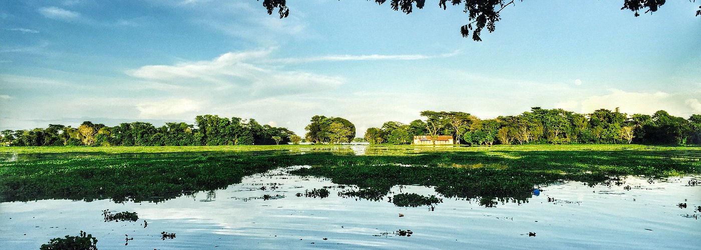 Hakaluki Haor, Moulvibazar. Bangladesh's largest and one of Asia's larger marsh wetland.