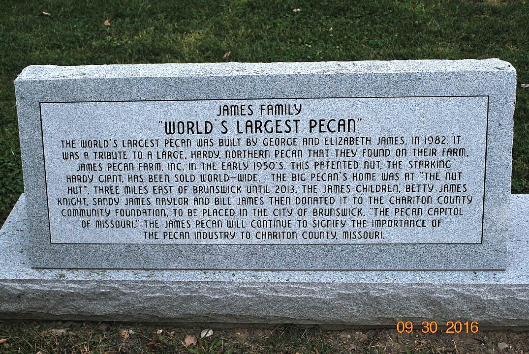World's Largest Pecan Replica Sculpture: world record in Brunswick ...