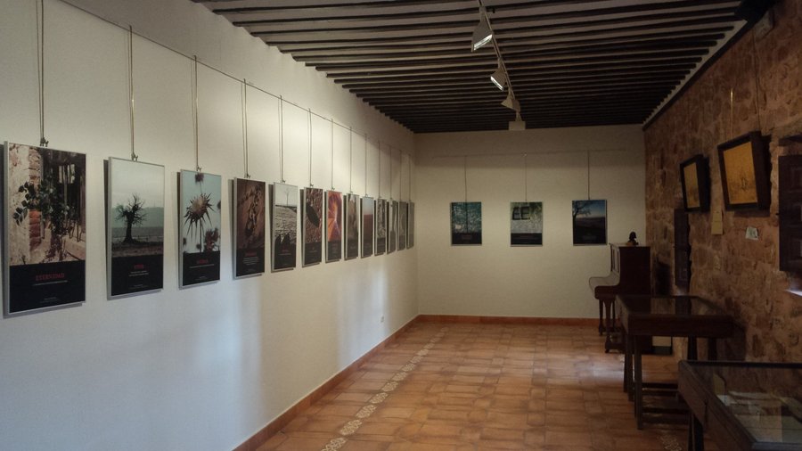 Sala de Exposiciones