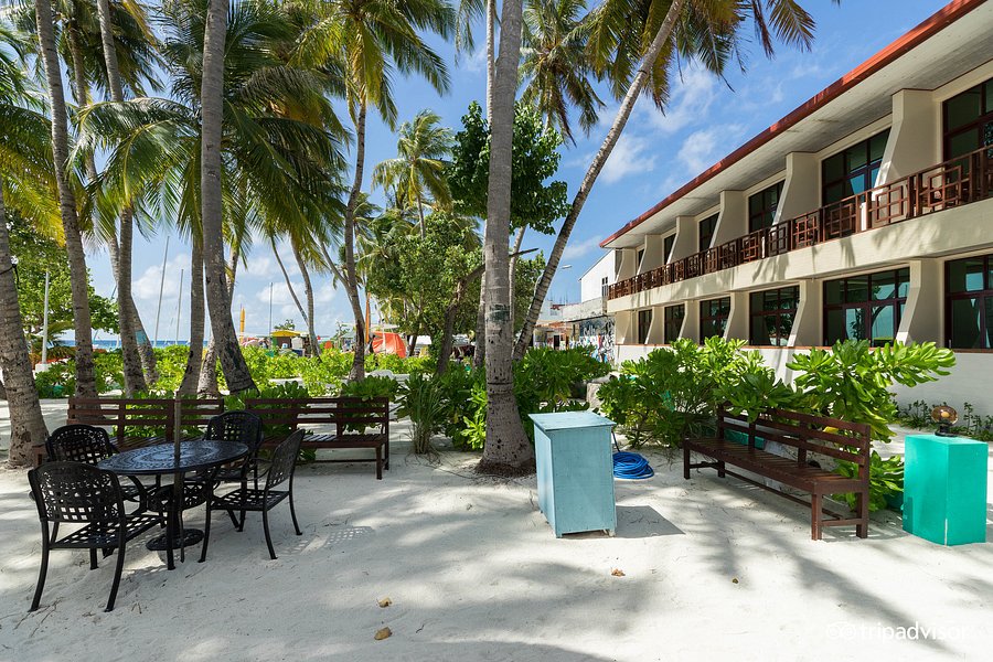 SUN TAN BEACH HOTEL (Maafushi Island, Maldivas): opiniones ...