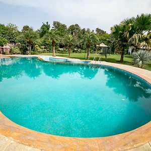 The Pool at the Botanix Nature Resort