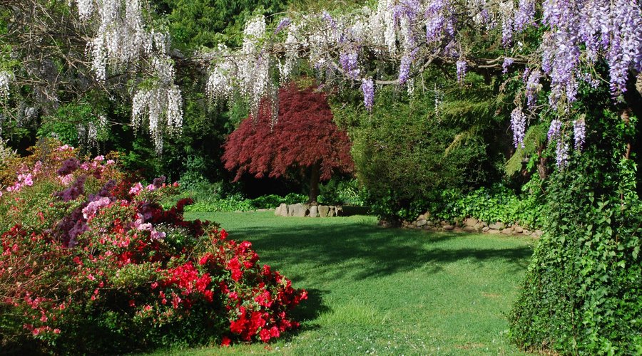 Garden from the front