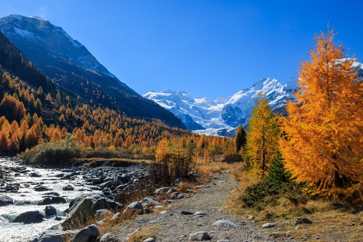 Morteratsch Glacier - All You Need to Know BEFORE You Go (2024)