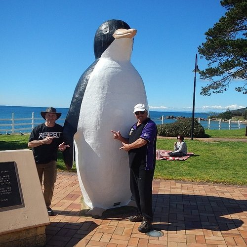 Anal Girl in Tasmania