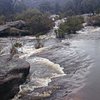 Things To Do in Girraween National Park, Restaurants in Girraween National Park
