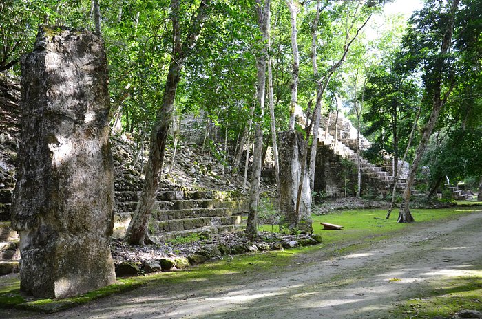 the ruins covered in jungle