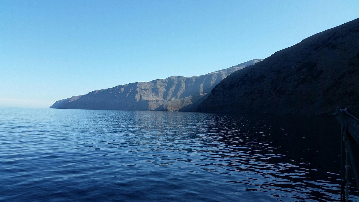 Guadalupe Island (Baja California) - All You Need to Know BEFORE You Go