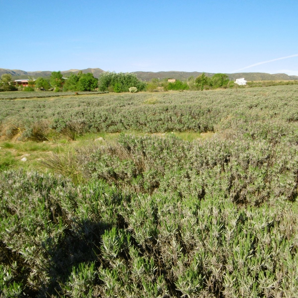 Domaine de Puberclair (La Cumbre) - 2023 Qué saber antes de ir - Lo más  comentado por la gente - Tripadvisor