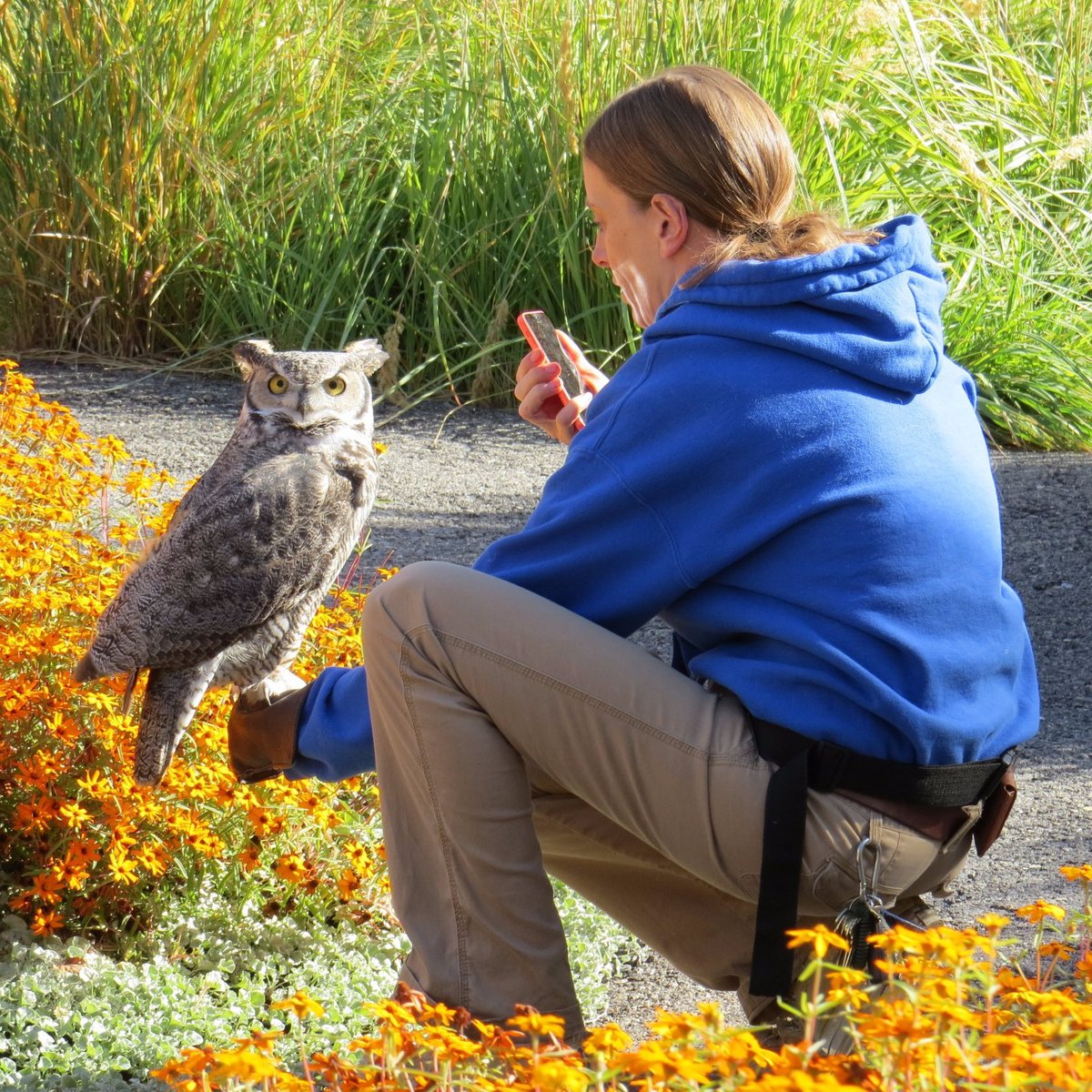 Tracy Aviary