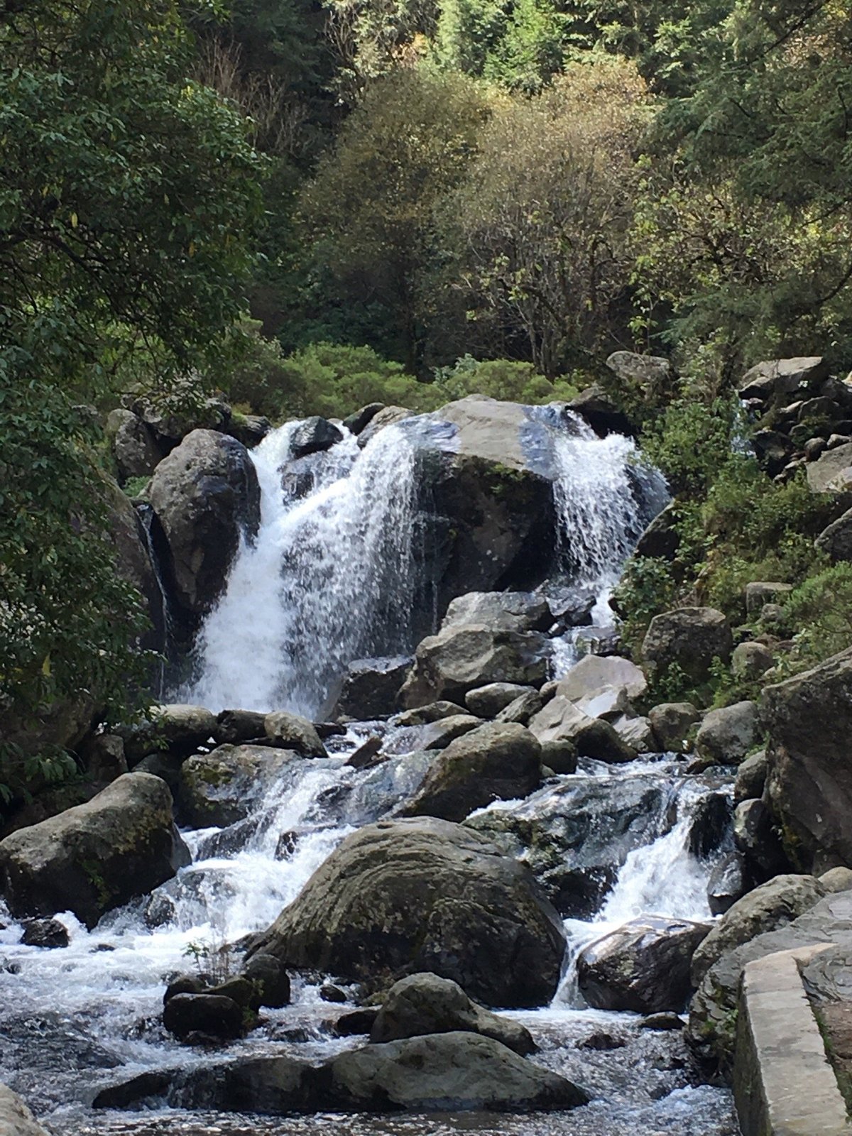 Parque Ecológico Los Dinamos (Ciudad de México) - 2023 Lo que se debe saber  antes de viajar - Tripadvisor