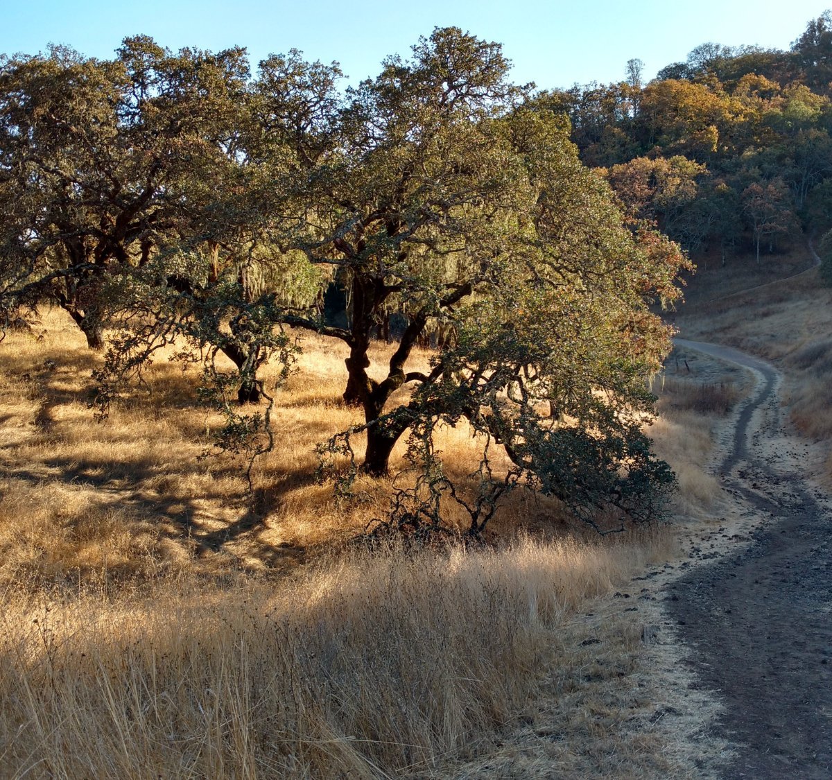 Sonoma Valley Regional Park - All You Need To Know Before You Go (2024)