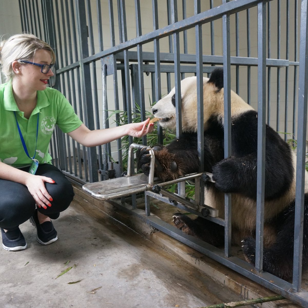 China Highlights Panda Keeper - All You Need to Know BEFORE You Go (2024)