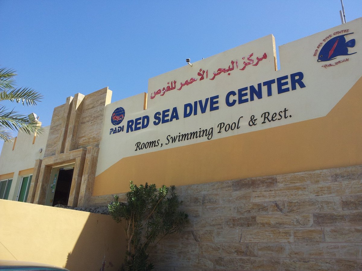 gnier Pudsigt Jobtilbud Red Sea Dive Center (Aqaba) - All You Need to Know BEFORE You Go