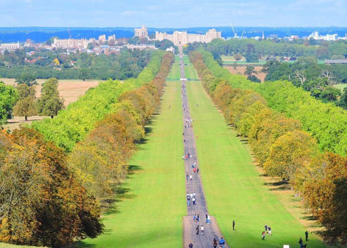 Walk in Great Park