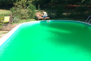 Pool & Beach