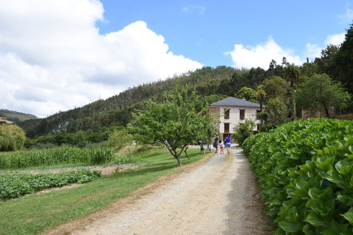 Imagen 10 de La Casona de Amaido